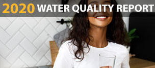 2020 water quality report