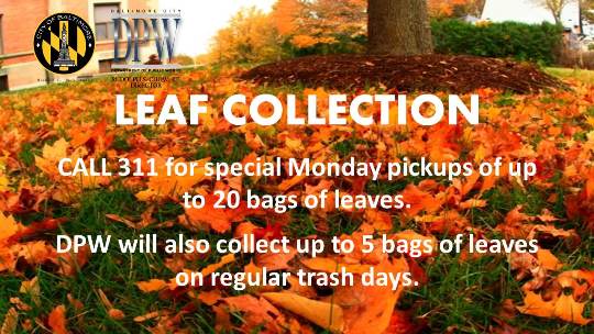 Leaf Bags - City of Monroe